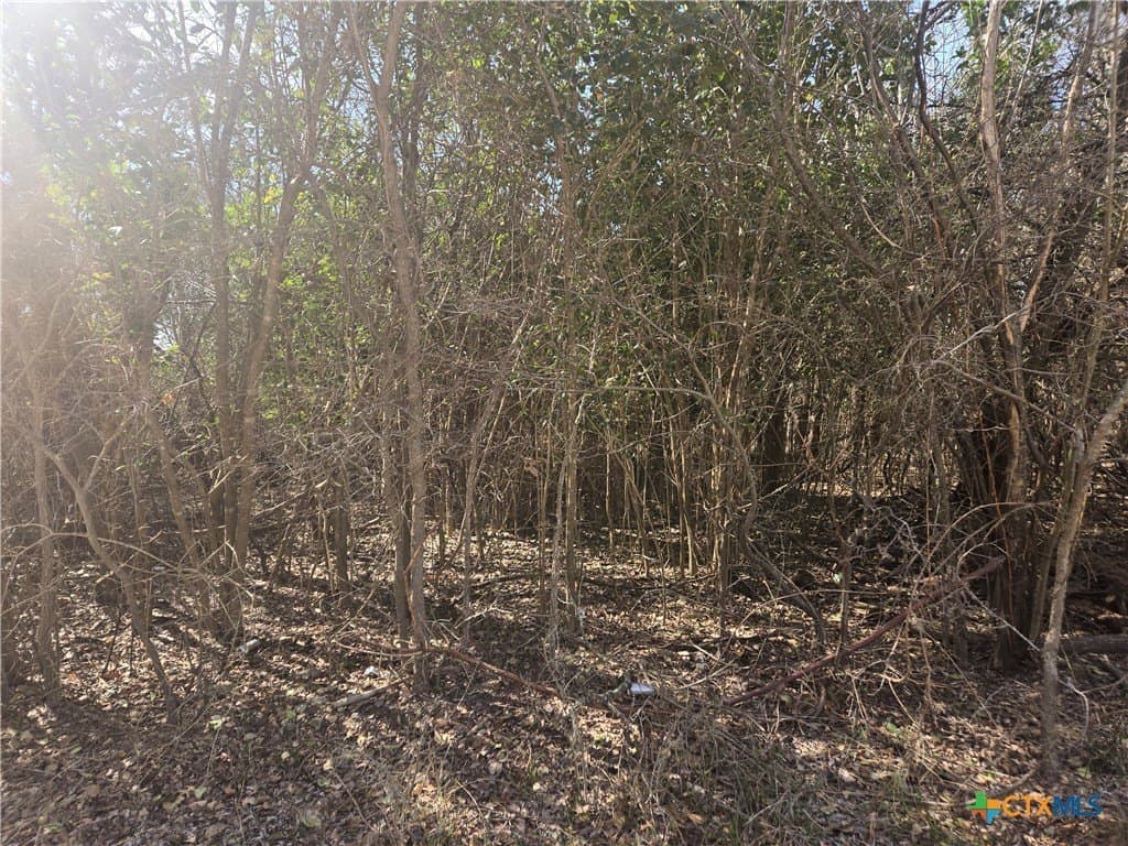 0.29 acres in Bell County - photo 3