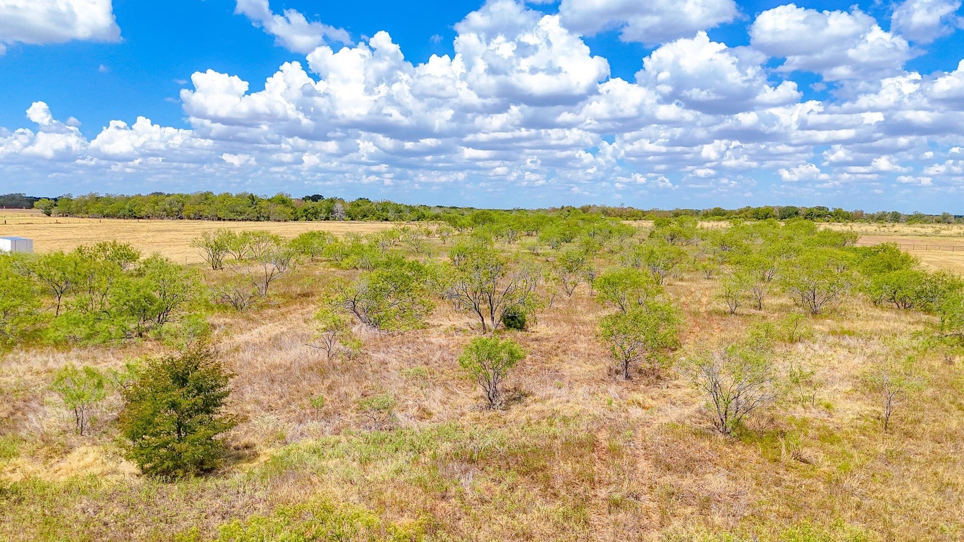 7.84 acres in Navarro County - photo 12