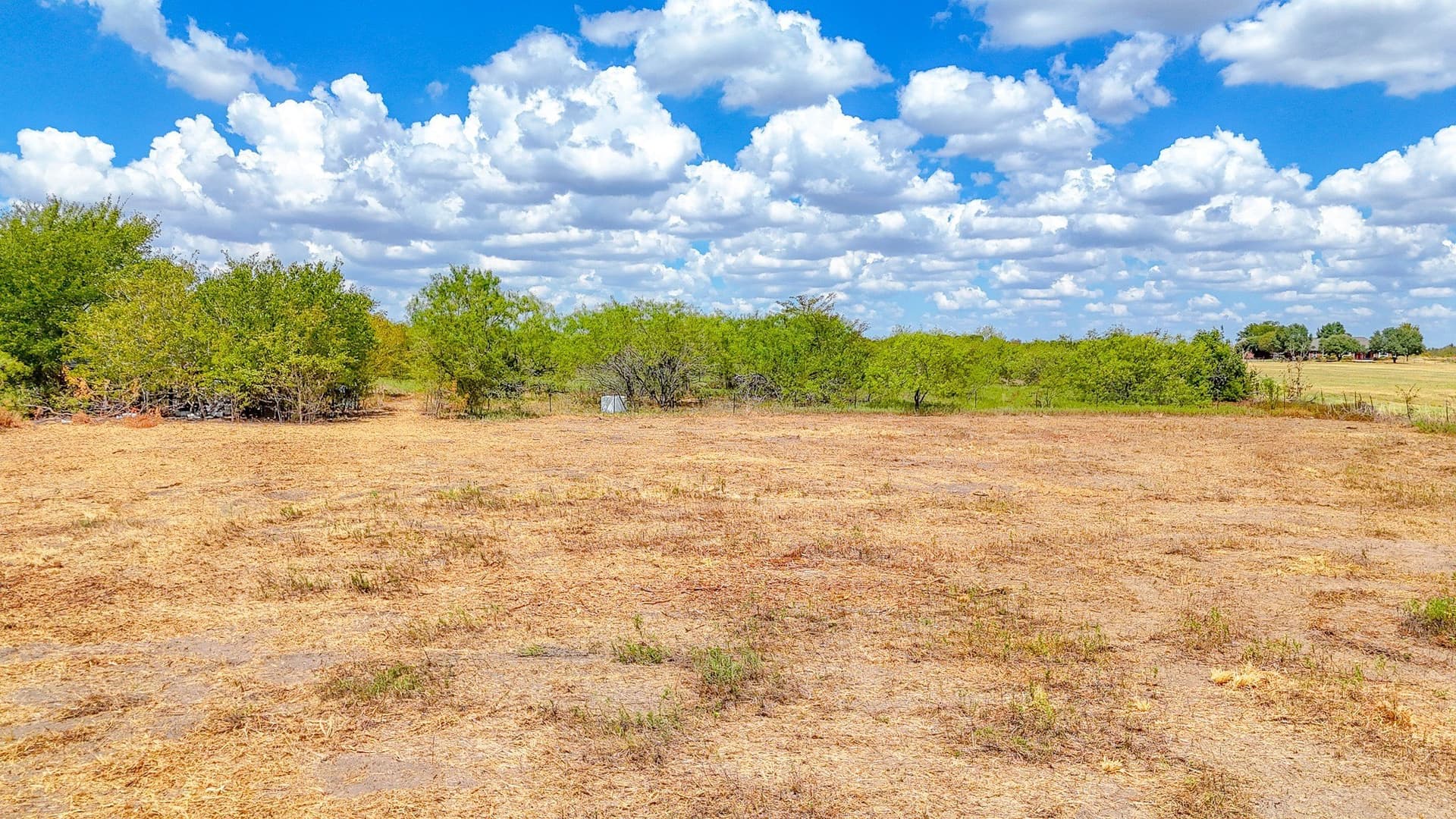 7.84 acres in Navarro County - photo 8