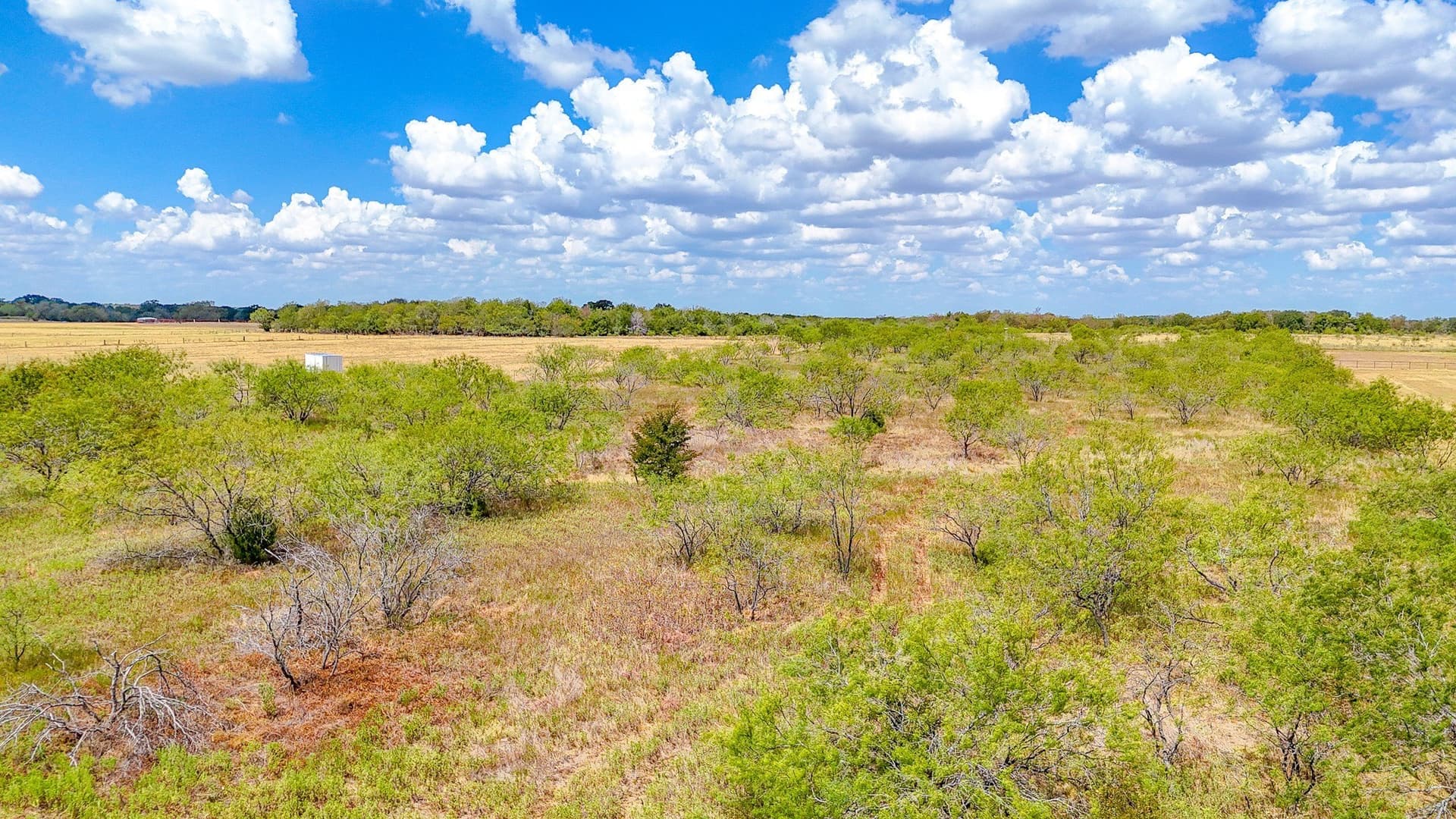 7.84 acres in Navarro County - photo 11