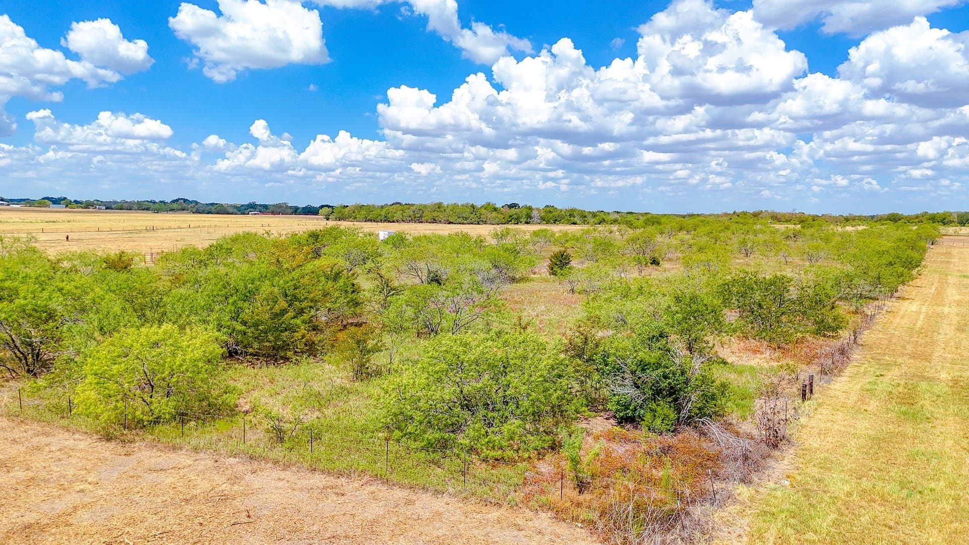 7.84 acres in Navarro County - photo 10
