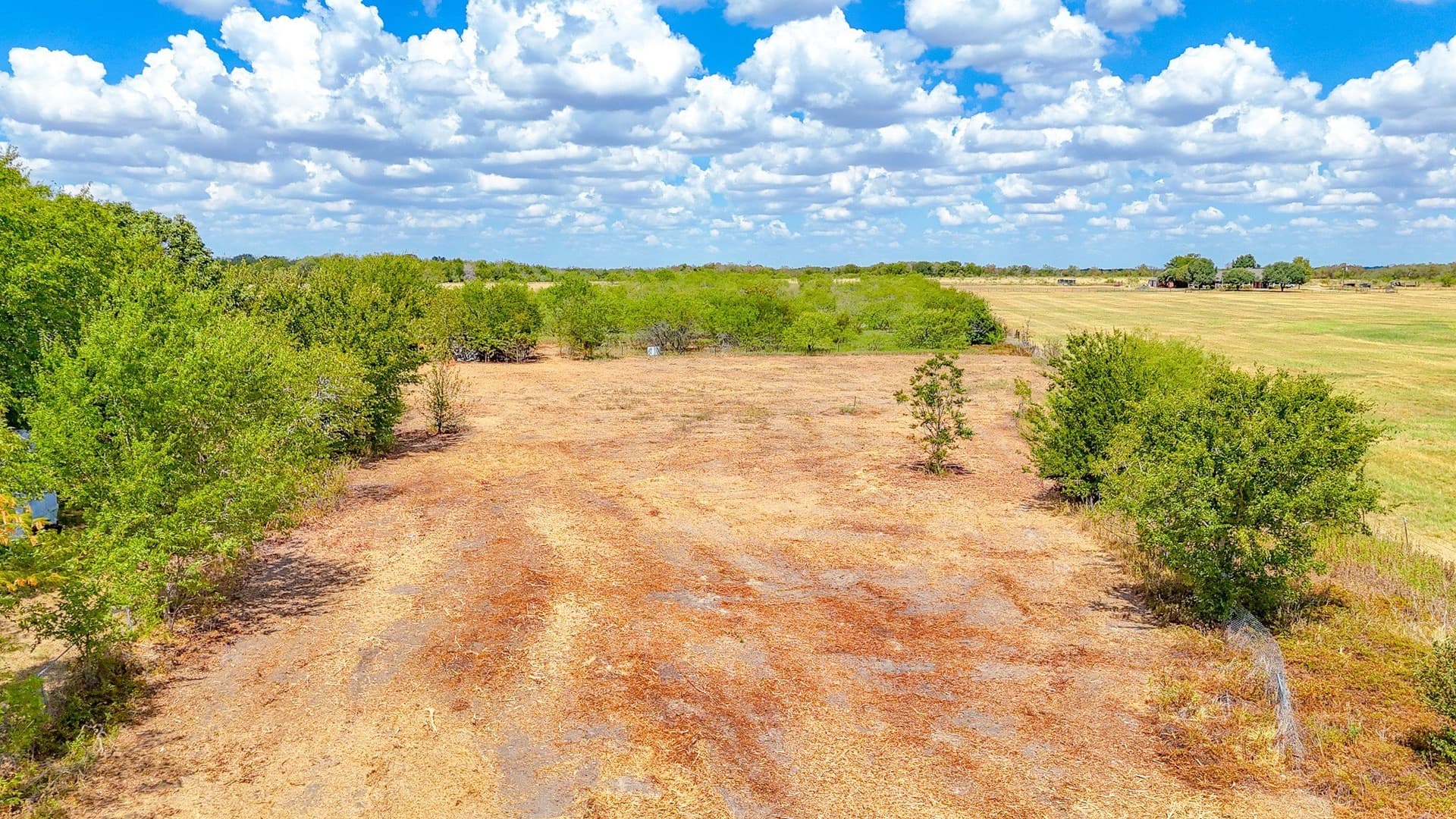 7.84 acres in Navarro County - photo 6