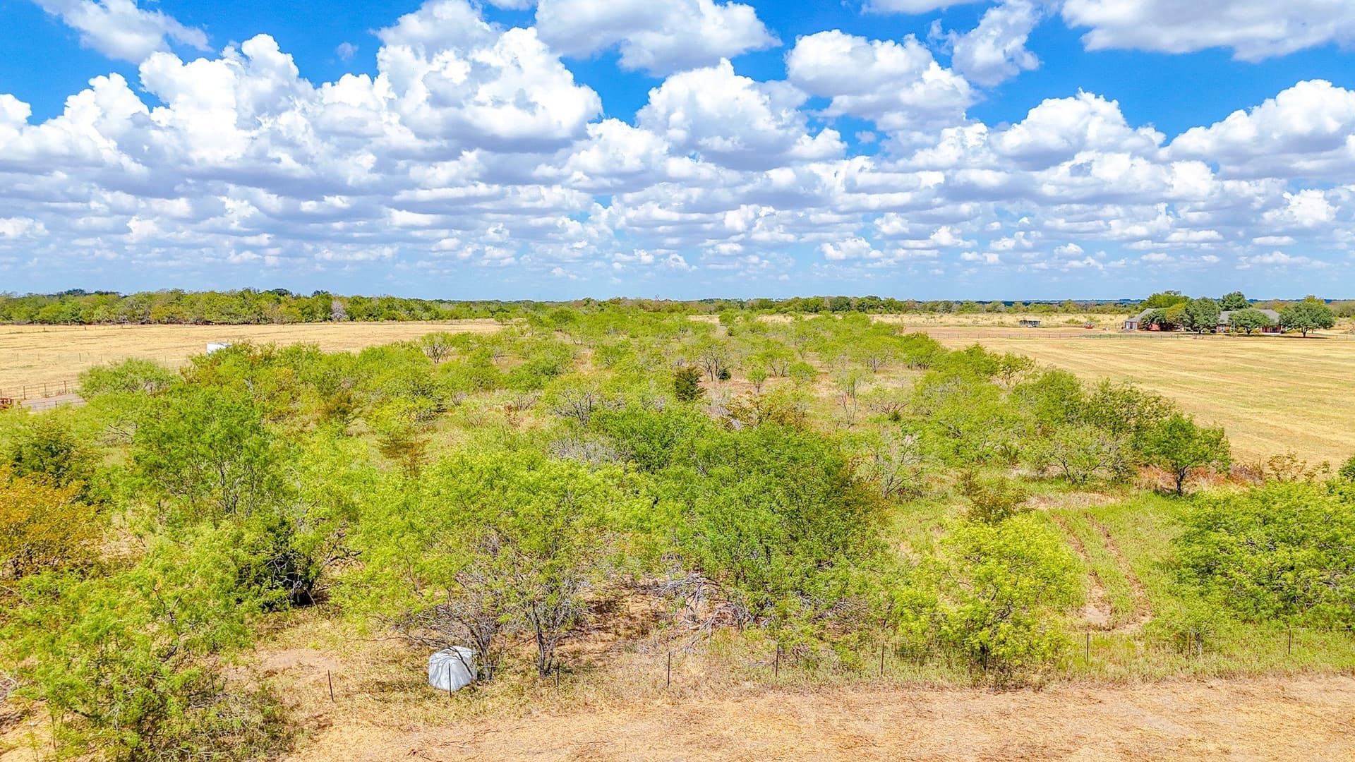 7.84 acres in Navarro County - photo 9