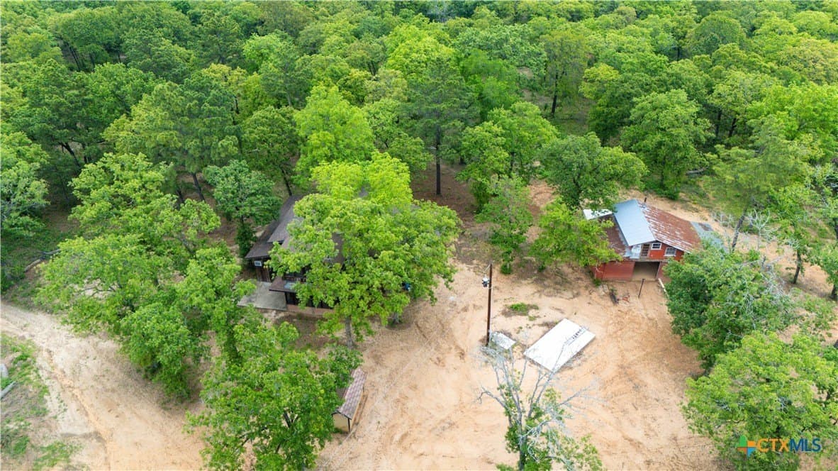 30.8 acres in Milam County gallery image 2