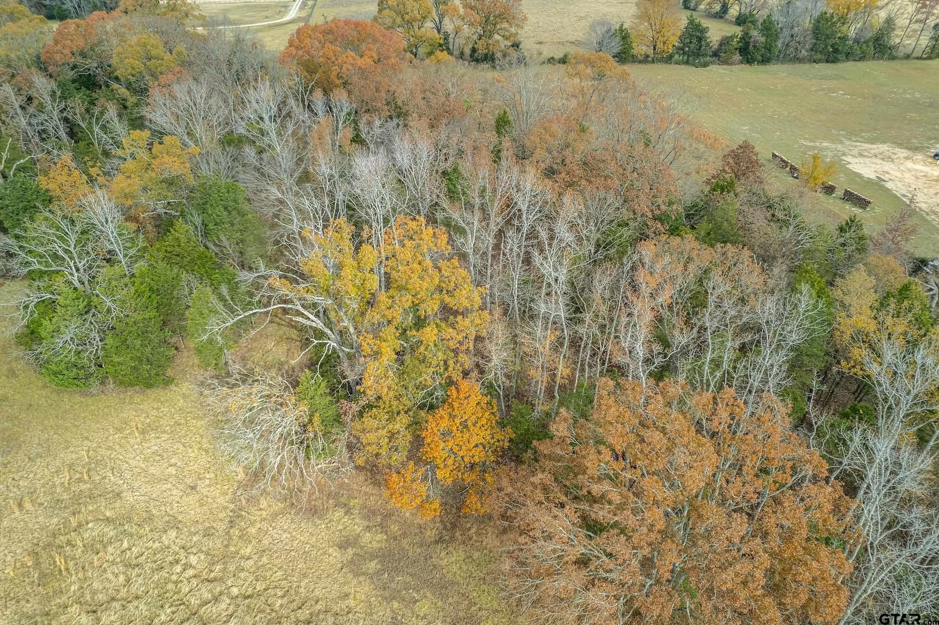 5.39 acres in Smith County featured view