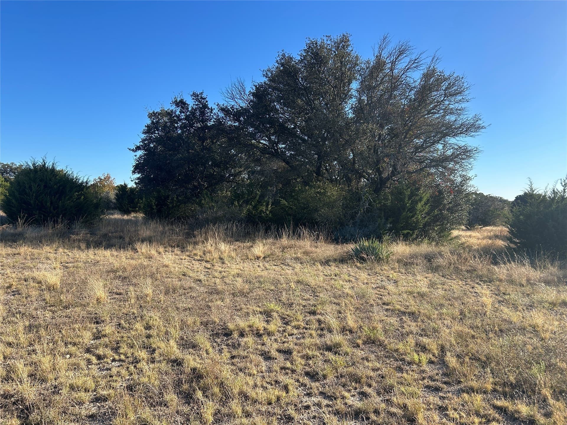 7 acres in Mills County - photo 13