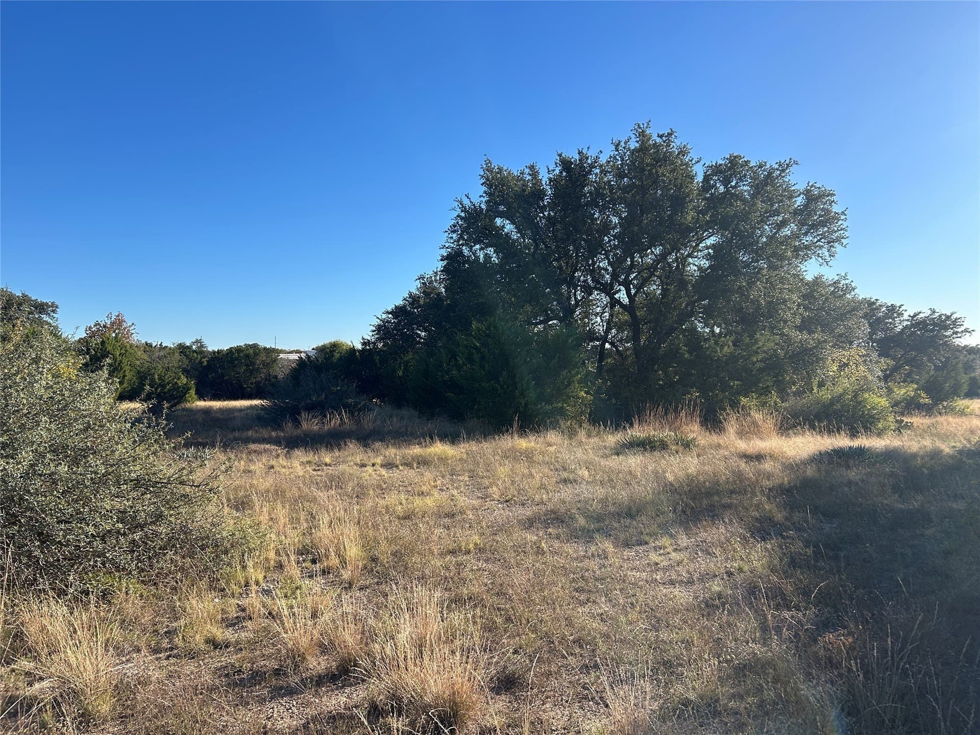 7 acres in Mills County - photo 9