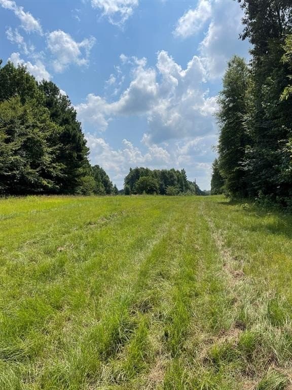 100 acres in Gregg County gallery image 4