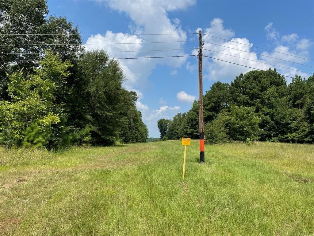 100 acres in Gregg County gallery image 3