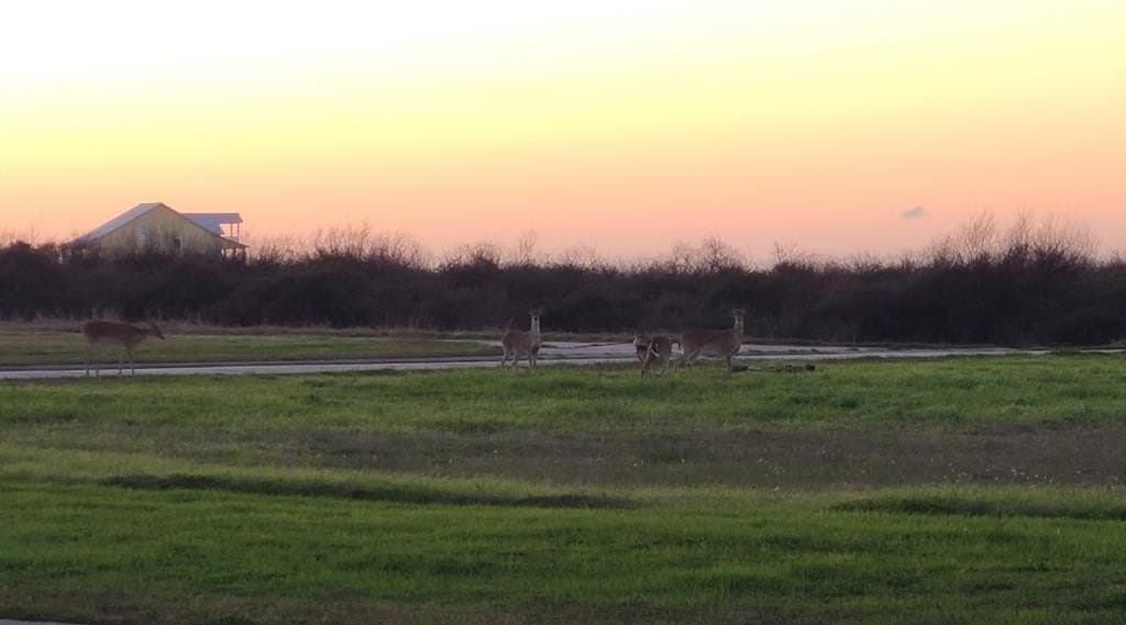 0.2 acres in Palacios Area County - photo 7