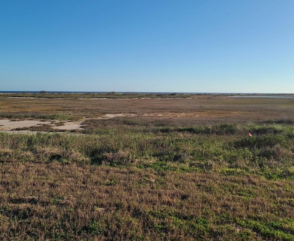 0.2 acres in Palacios Area County gallery image 4