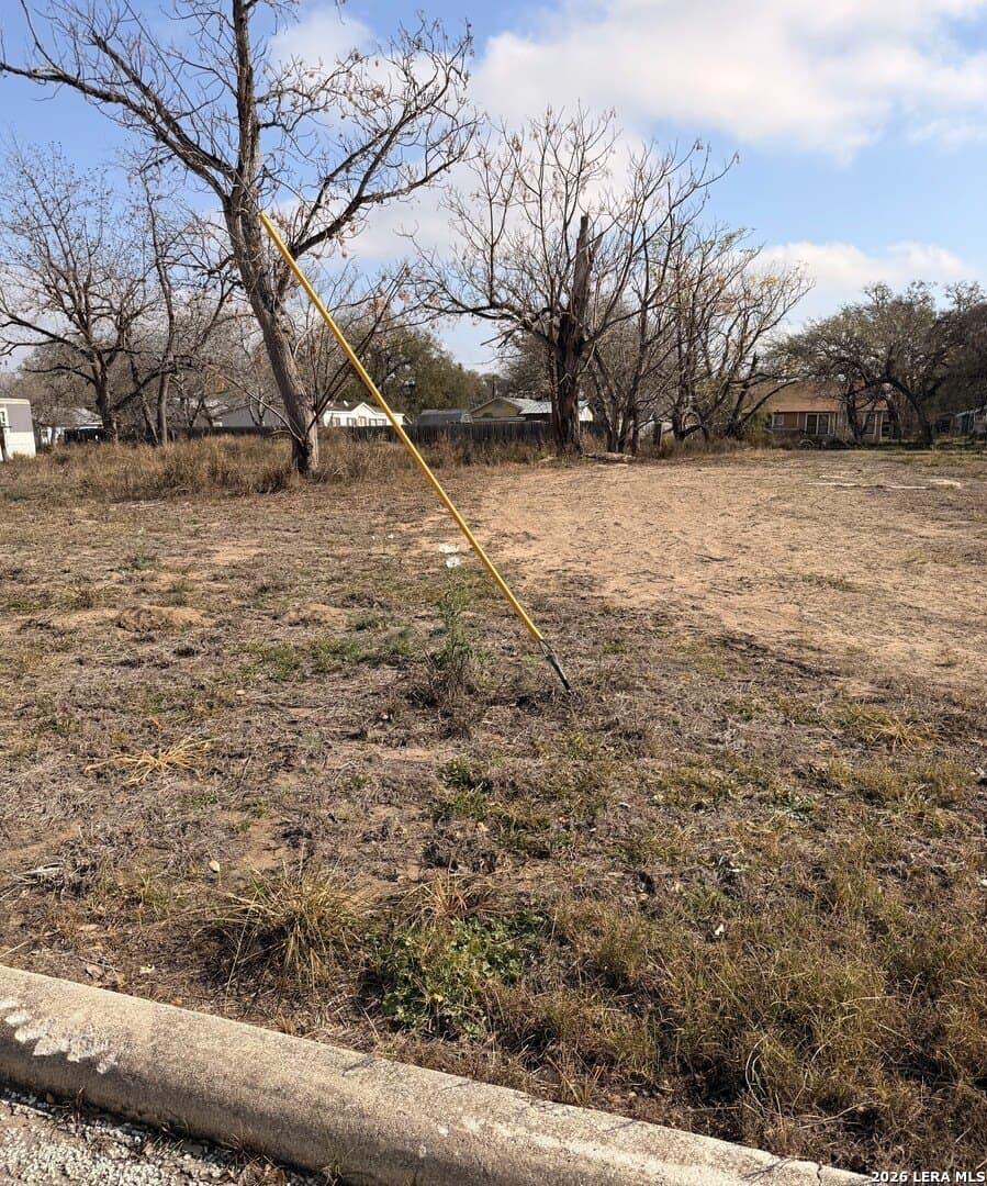 0.17 acres in Atascosa County gallery image 3