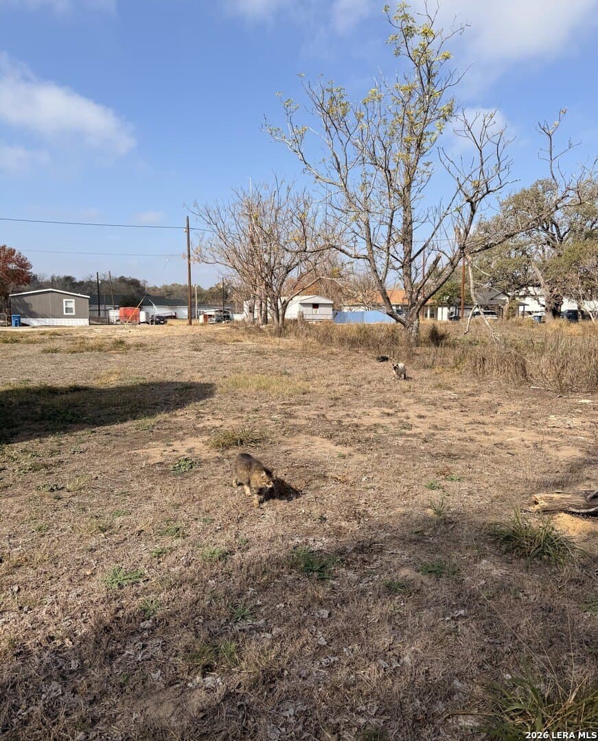 0.17 acres in Atascosa County gallery image 2
