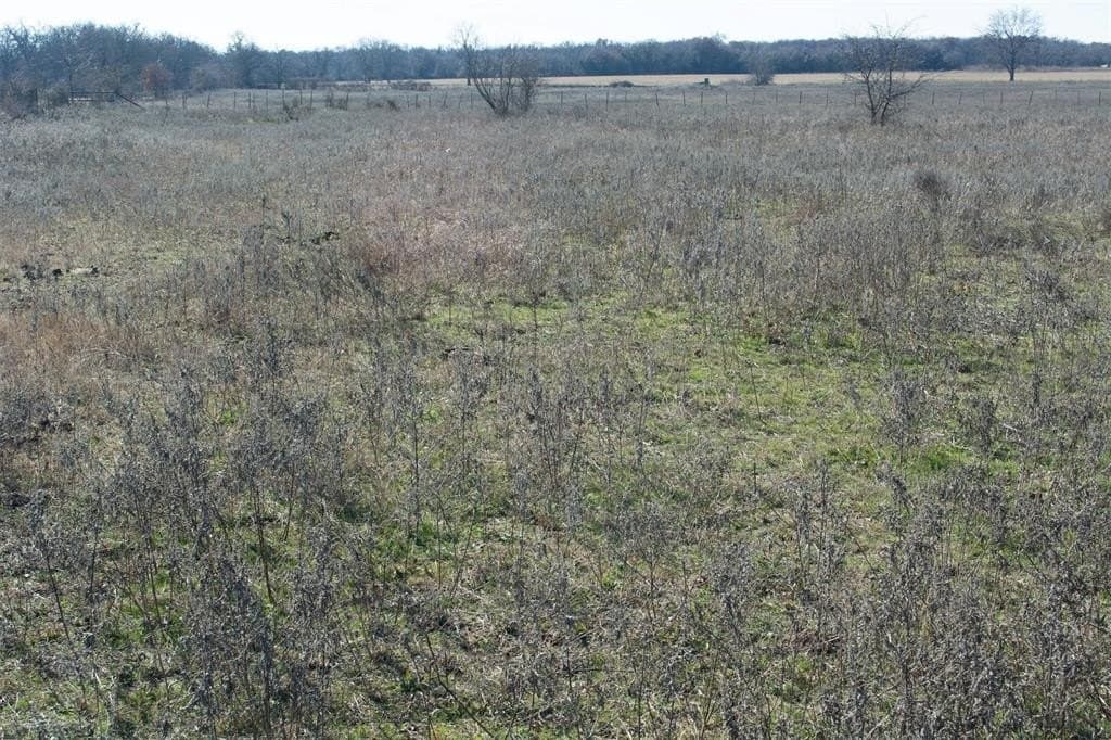 24.6 acres in Parker County gallery image 2