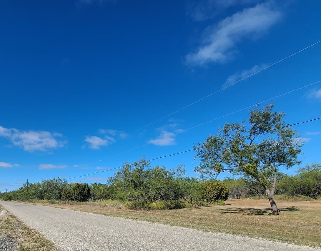 29.62 acres in Nolan County gallery image 4