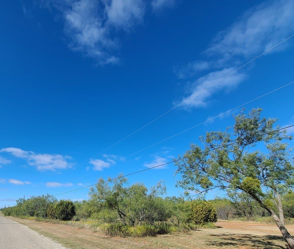 29.62 acres in Nolan County gallery image 3