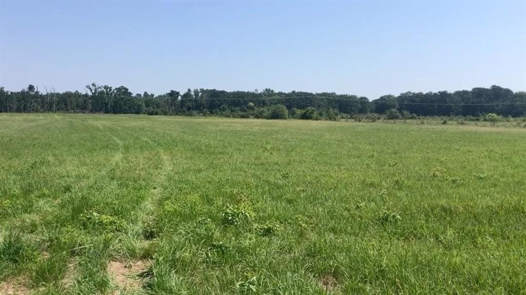 21.71 acres in Titus County gallery image 3