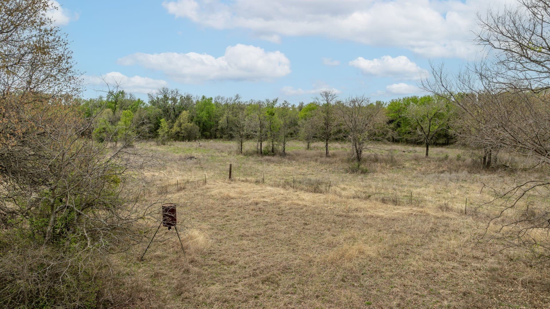 36.13 acres in Erath County - photo 15
