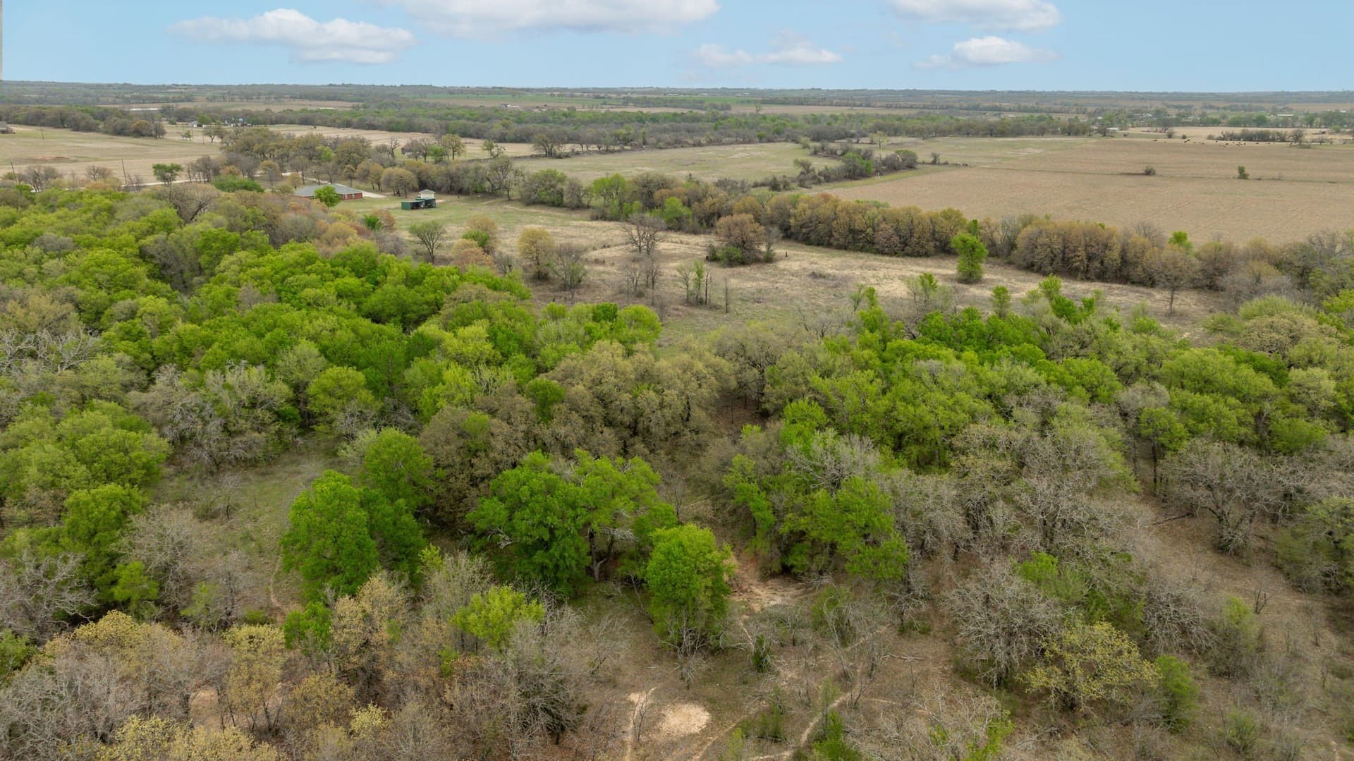 36.13 acres in Erath County - photo 18