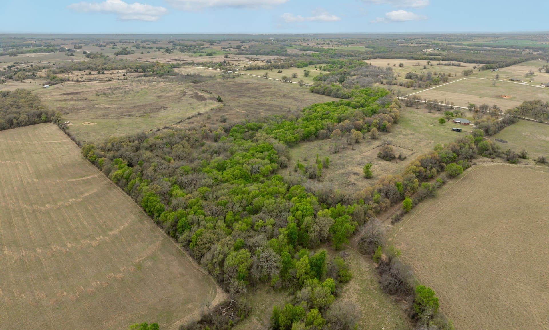 36.13 acres in Erath County - photo 17
