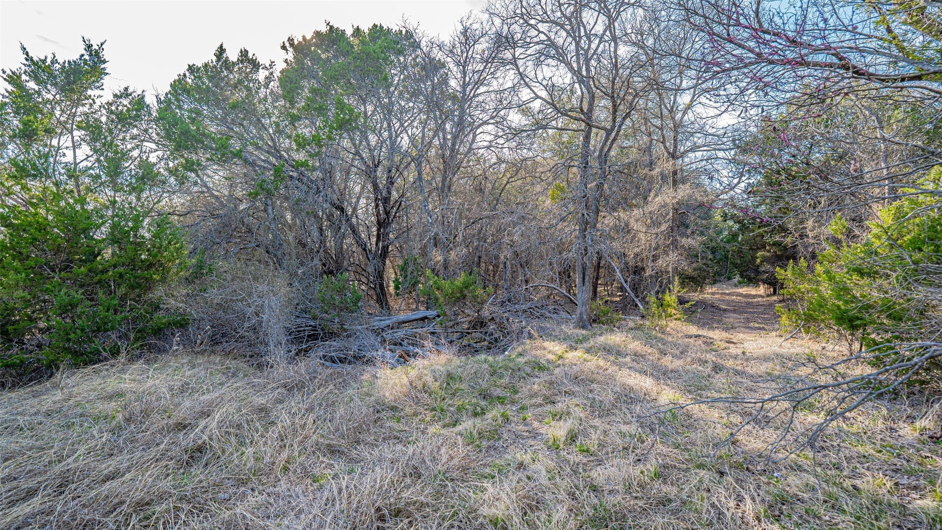 15.39 acres in Somervell County - photo 17