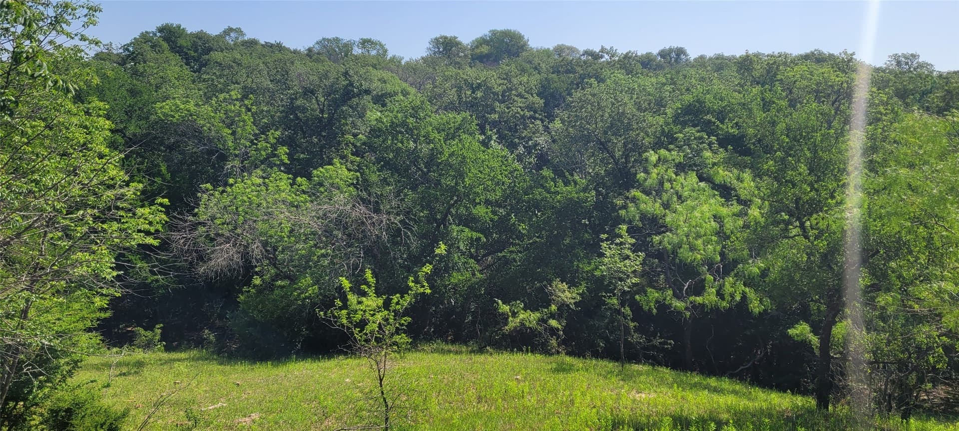 73 acres in Tarrant County - photo 22
