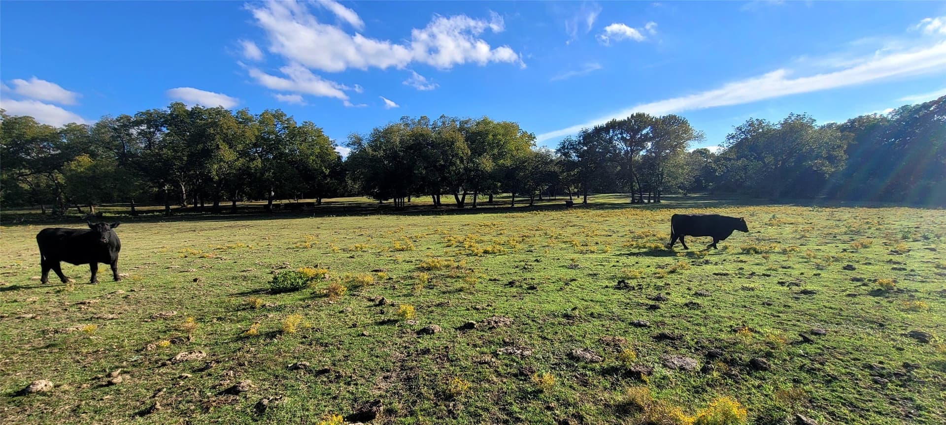 73 acres in Tarrant County - photo 5