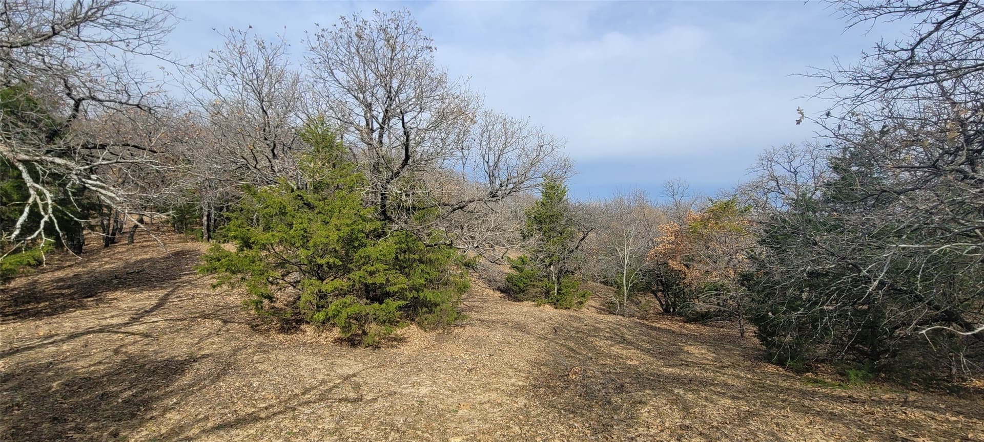 73 acres in Tarrant County - photo 14