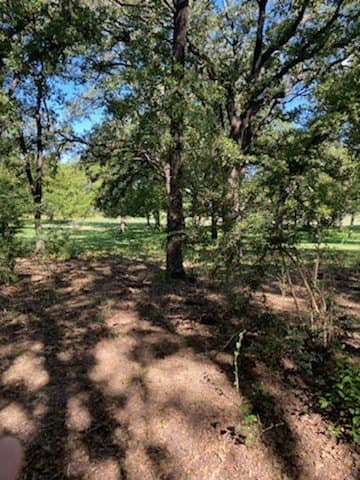 73 acres in Tarrant County - photo 2