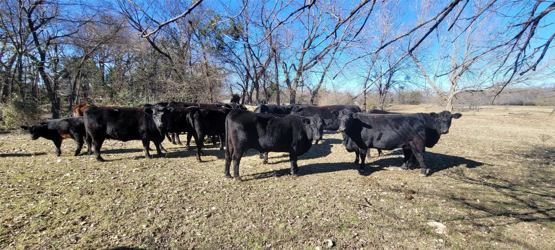 73 acres in Tarrant County - photo 13