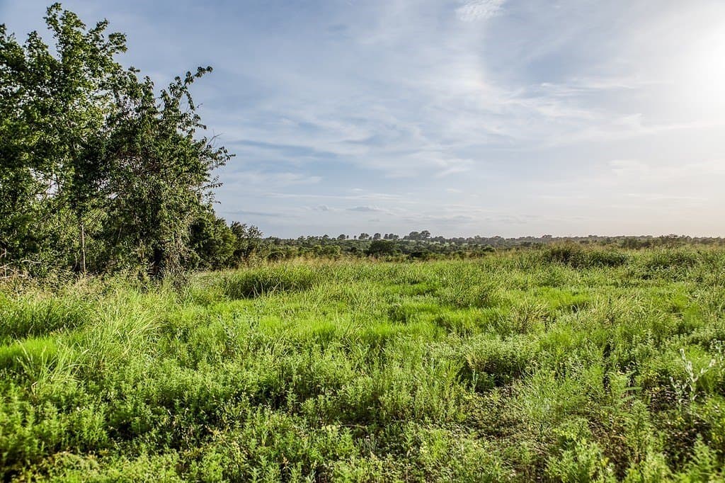 4.37 acres in Washington County - photo 9