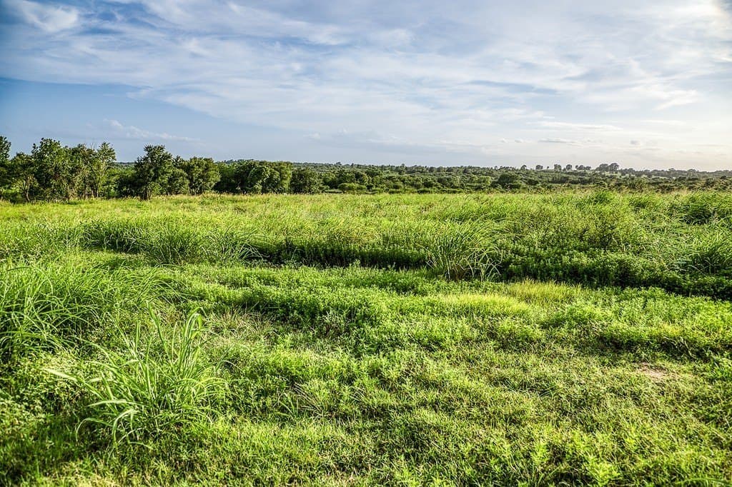 4.37 acres in Washington County - photo 6
