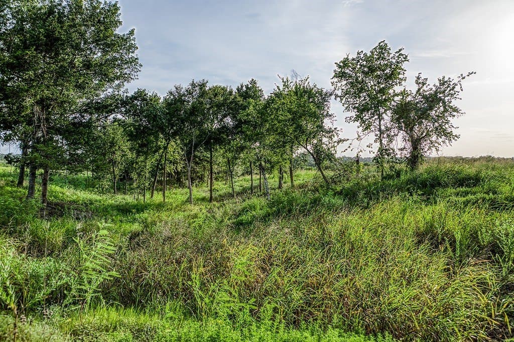 4.37 acres in Washington County gallery image 4