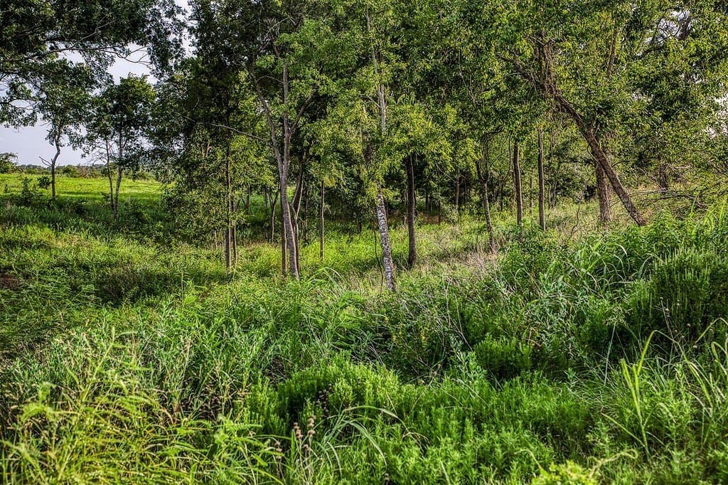4.37 acres in Washington County - photo 7