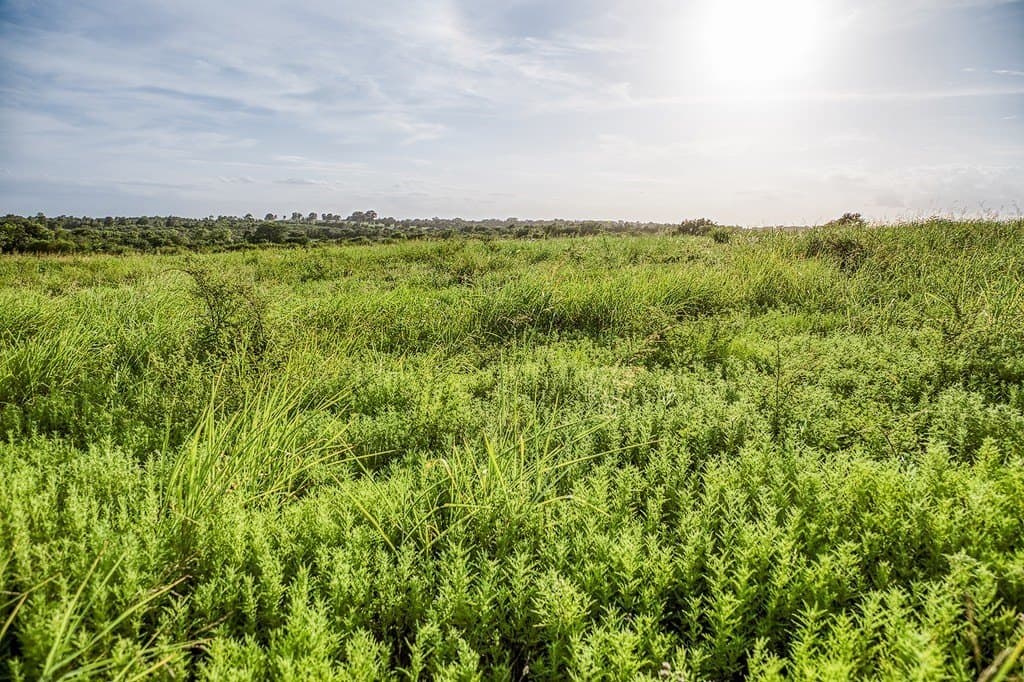 4.37 acres in Washington County - photo 11
