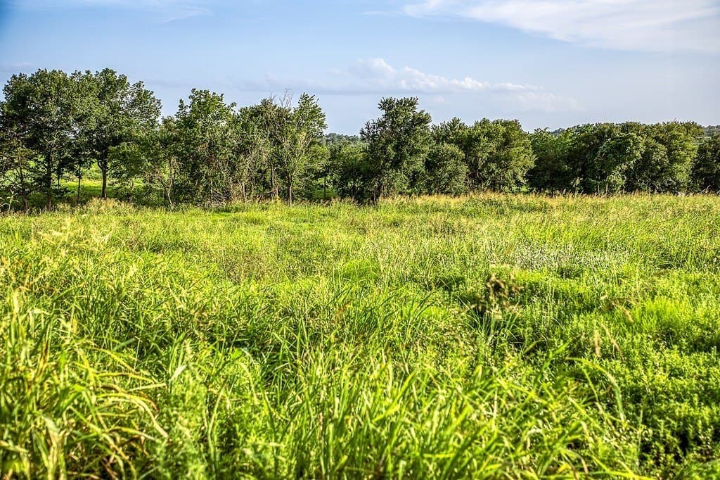4.37 acres in Washington County featured view