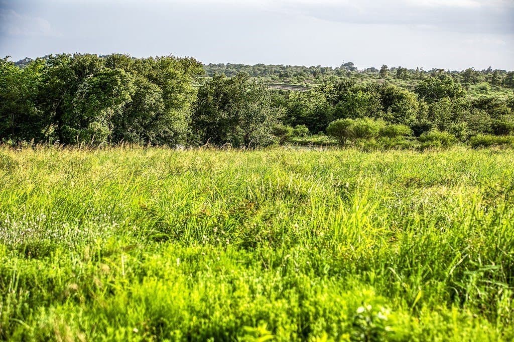 4.37 acres in Washington County - photo 10