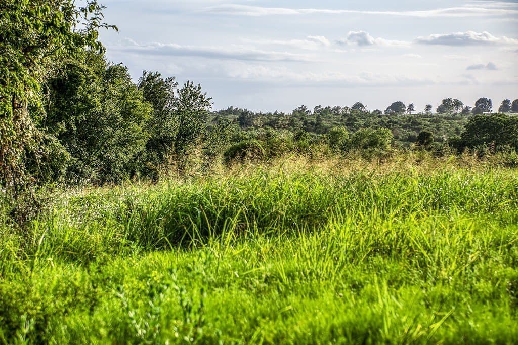 4.37 acres in Washington County - photo 8