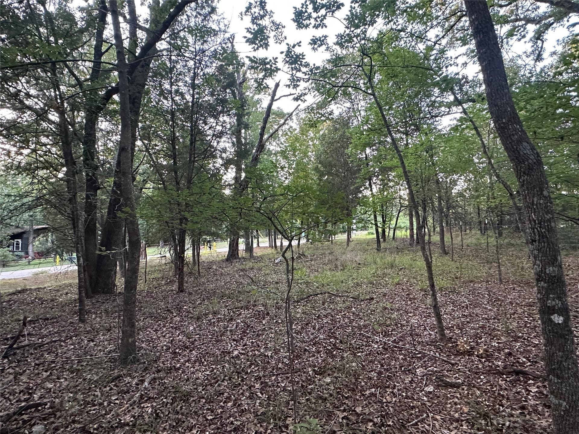 0.14 acres in Henderson County - photo 11