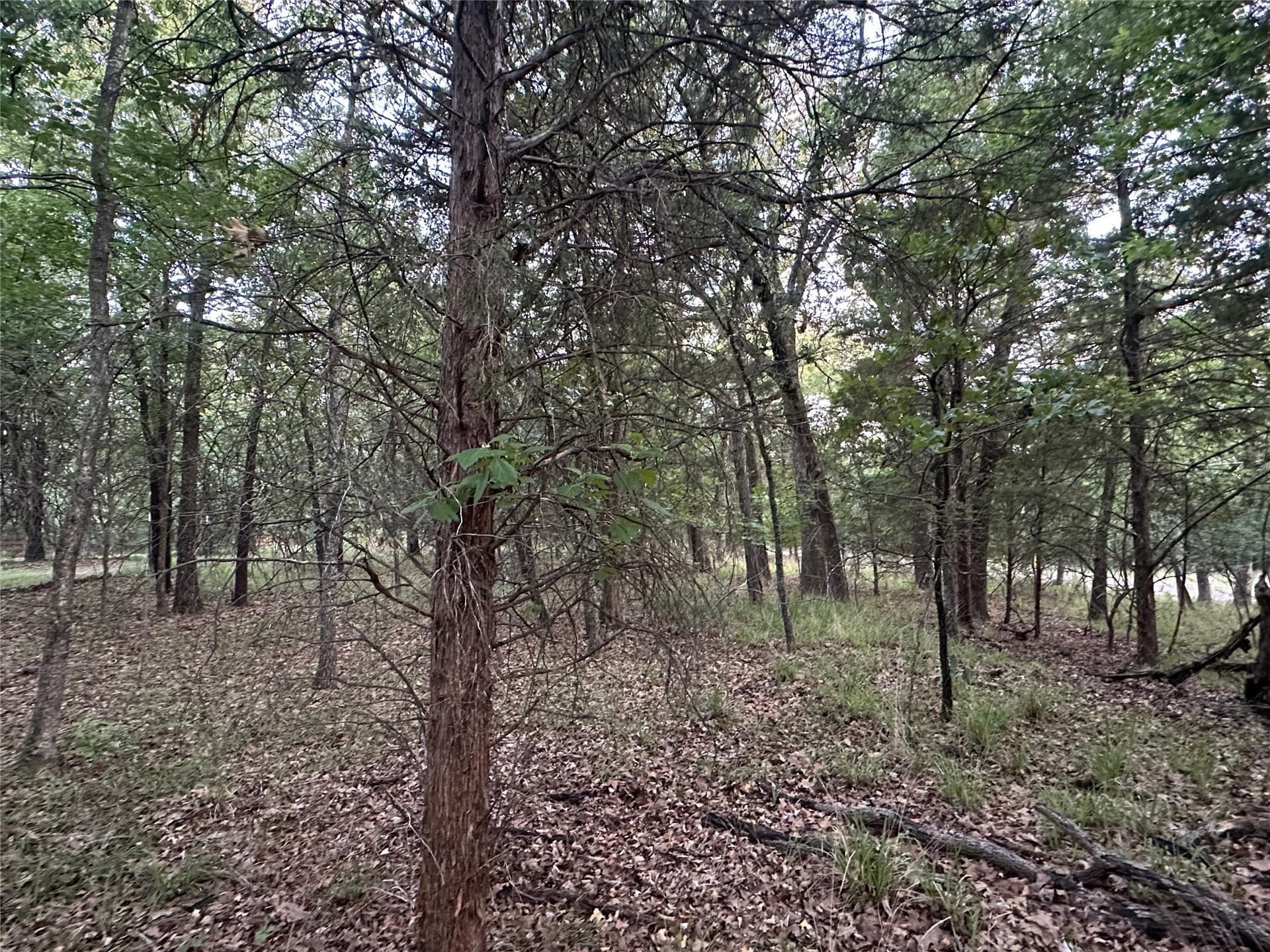 0.14 acres in Henderson County - photo 13