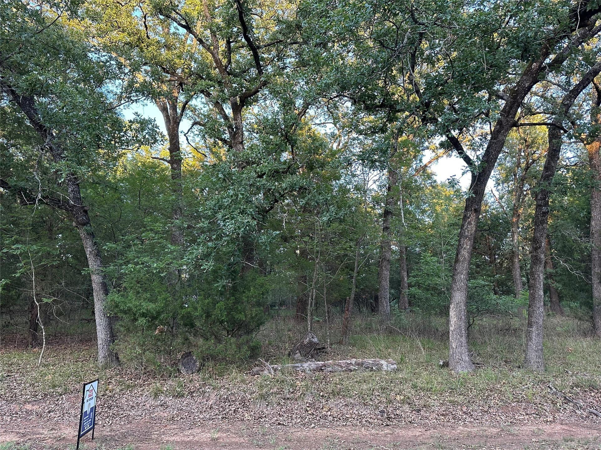 0.14 acres in Henderson County - photo 16