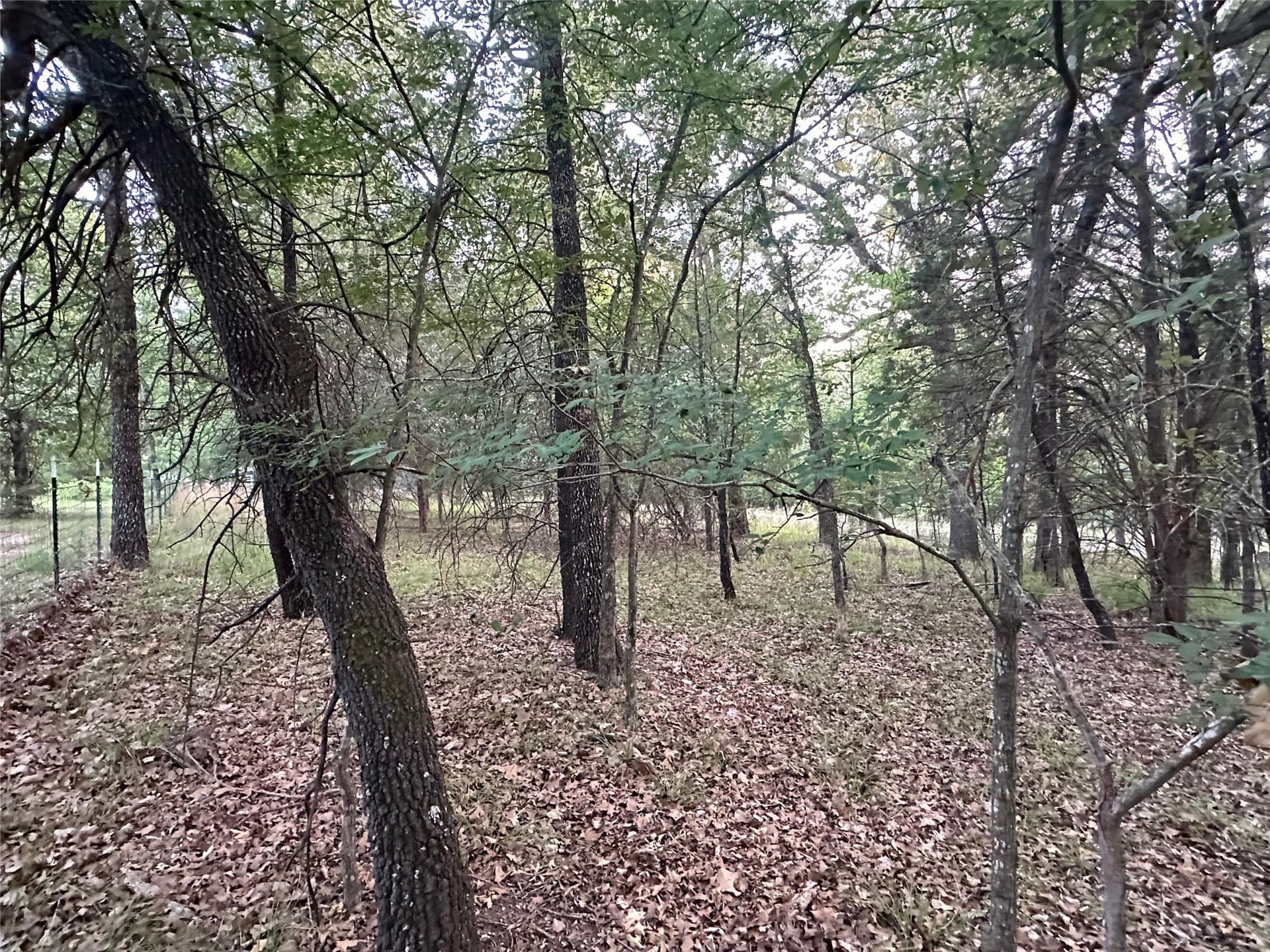 0.14 acres in Henderson County - photo 12