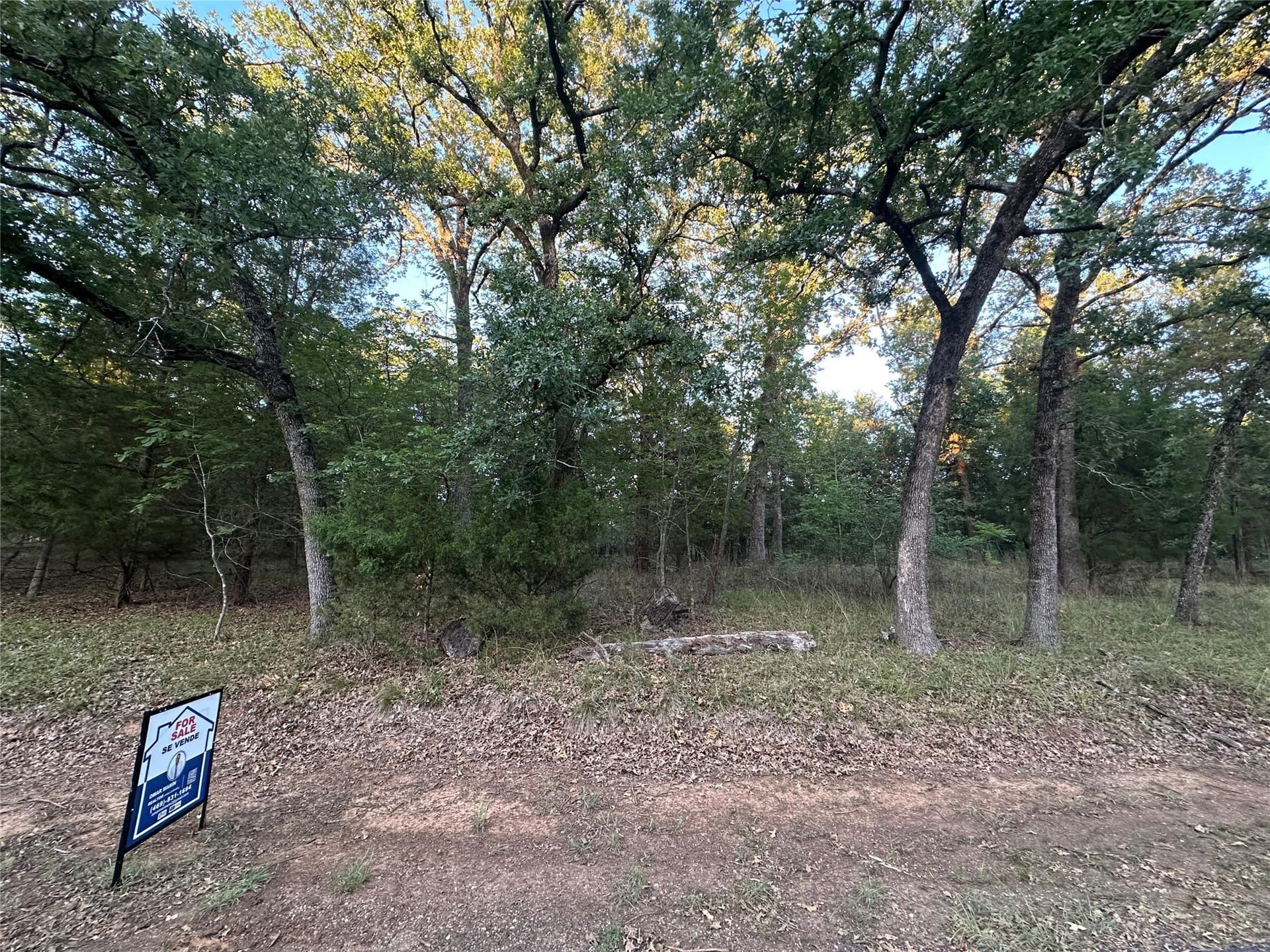 0.14 acres in Henderson County - photo 15