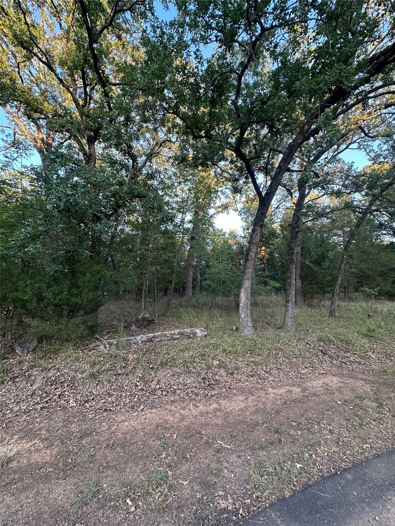 0.14 acres in Henderson County - photo 9