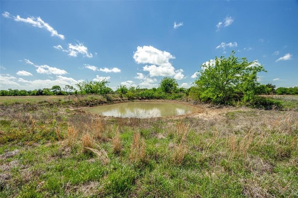 106.96 acres in Hopkins County gallery image 2