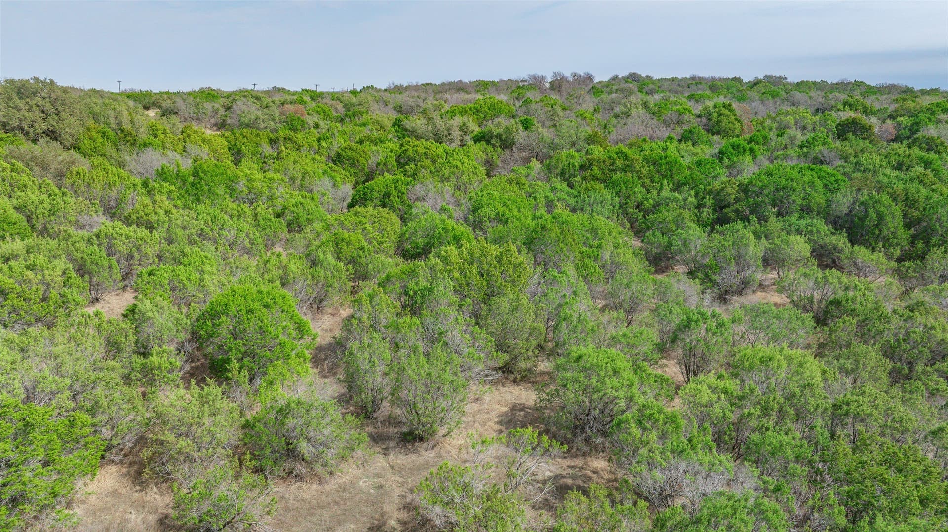 5.02 acres in Erath County - photo 18