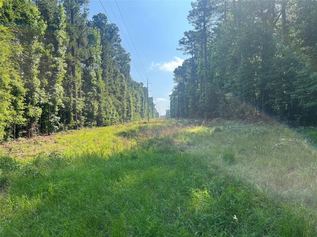 155.42 acres in Smith County gallery image 4