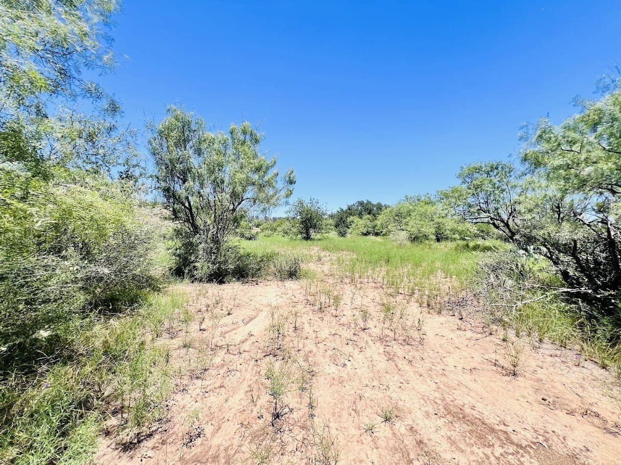 40 acres in Brown County gallery image 4
