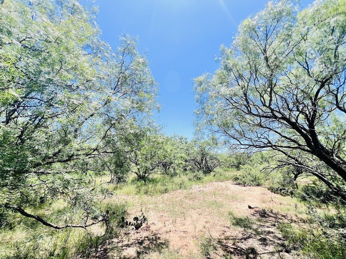 40 acres in Brown County - photo 8