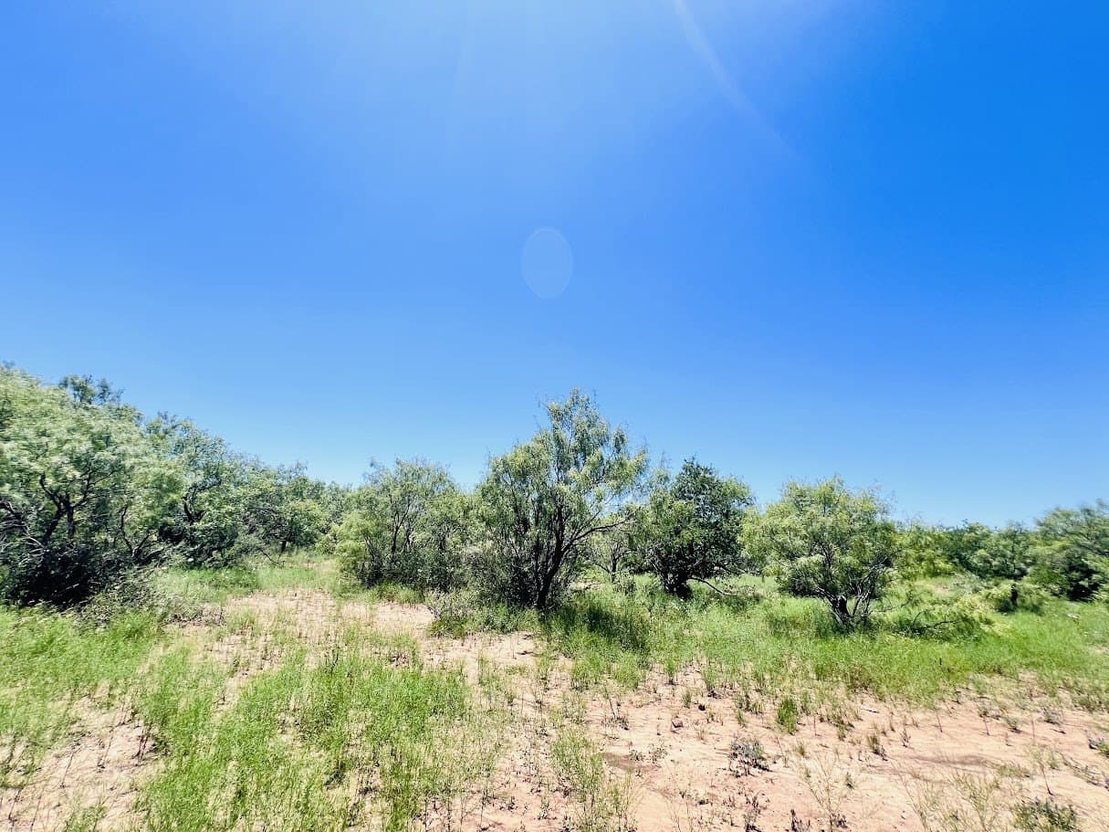 40 acres in Brown County - photo 9